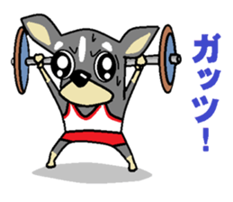 pretty dog chihuahua sticker #12143503