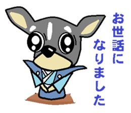 pretty dog chihuahua sticker #12143509