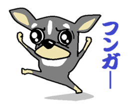 pretty dog chihuahua sticker #12143513