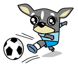 pretty dog chihuahua sticker #12143516