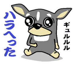 pretty dog chihuahua sticker #12143523