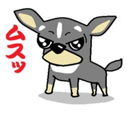 pretty dog chihuahua sticker #12143525