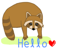 Raccoon and Redpanda English version sticker #12145208