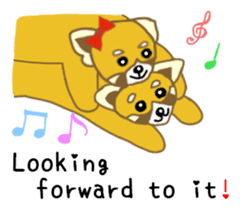 Raccoon and Redpanda English version sticker #12145238