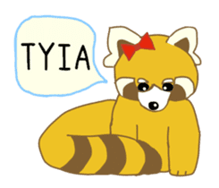 Raccoon and Redpanda English version sticker #12145243
