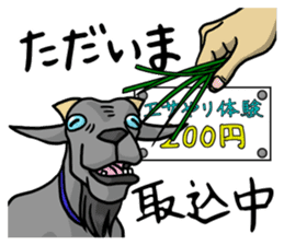 Funny goats sticker #12145541