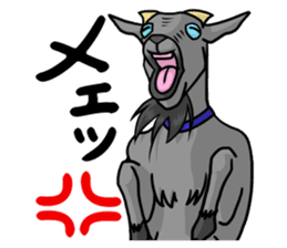 Funny goats sticker #12145546