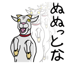 Funny goats sticker #12145548