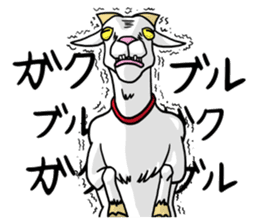 Funny goats sticker #12145549