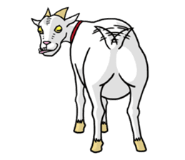 Funny goats sticker #12145552
