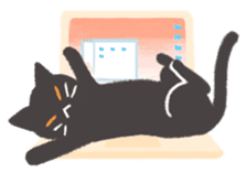 Everyday of Black Cat sticker #12146028