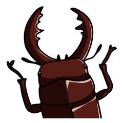 Daily life of Insect