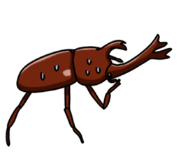 Daily life of Insect sticker #12147528