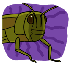 Daily life of Insect sticker #12147530