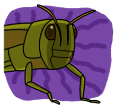 Daily life of Insect sticker #12147530