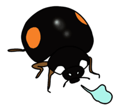 Daily life of Insect sticker #12147534