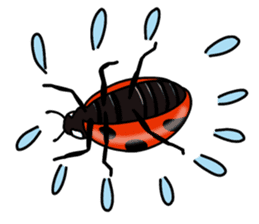Daily life of Insect sticker #12147535