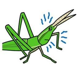 Daily life of Insect sticker #12147537