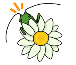 Daily life of Insect sticker #12147539