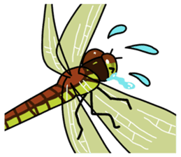 Daily life of Insect sticker #12147540