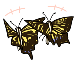 Daily life of Insect sticker #12147543