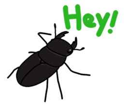 Daily life of Insect sticker #12147546