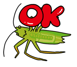 Daily life of Insect sticker #12147554
