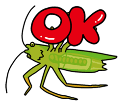 Daily life of Insect sticker #12147554