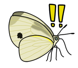Daily life of Insect sticker #12147557