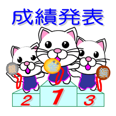 Swimming of a white cat