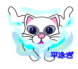 Swimming of a white cat sticker #12148489