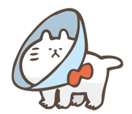 Hoyohoyo cat sticker #12148633