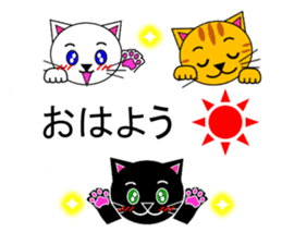 The cats(tiger cat,white cat,black cat)5 sticker #12149854