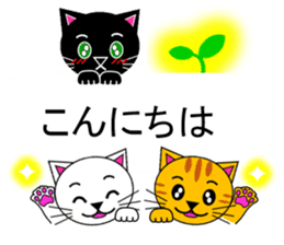 The cats(tiger cat,white cat,black cat)5 sticker #12149855