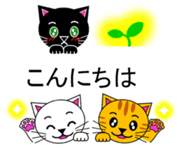 The cats(tiger cat,white cat,black cat)5 sticker #12149855