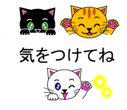 The cats(tiger cat,white cat,black cat)5 sticker #12149867