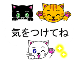 The cats(tiger cat,white cat,black cat)5 sticker #12149867