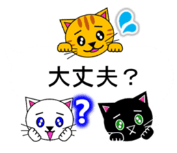 The cats(tiger cat,white cat,black cat)5 sticker #12149870