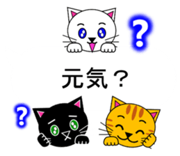 The cats(tiger cat,white cat,black cat)5 sticker #12149872