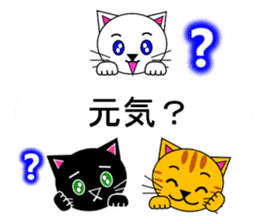 The cats(tiger cat,white cat,black cat)5 sticker #12149872