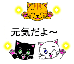 The cats(tiger cat,white cat,black cat)5 sticker #12149873