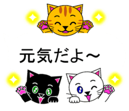 The cats(tiger cat,white cat,black cat)5 sticker #12149873