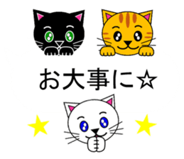 The cats(tiger cat,white cat,black cat)5 sticker #12149889