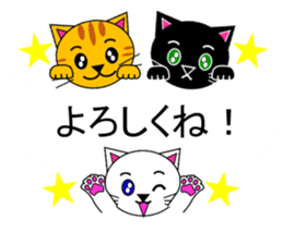 The cats(tiger cat,white cat,black cat)5 sticker #12149890