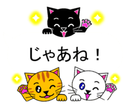 The cats(tiger cat,white cat,black cat)5 sticker #12149893