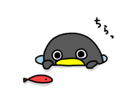 Penguin Jonas sticker #12150200