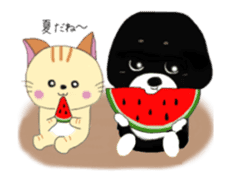 Animated Kuro's daily life summer ver. sticker #12151462