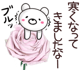 rose bear 2 sticker #12152362
