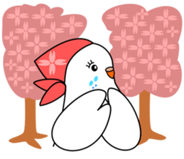 Parakeet woman is "SHIROCHAN". sticker #12152402