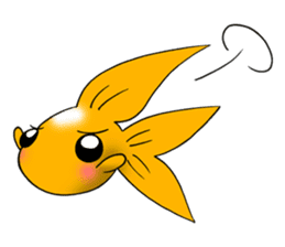Mini,Little Big Goldfish sticker #12152443